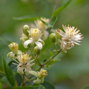 164