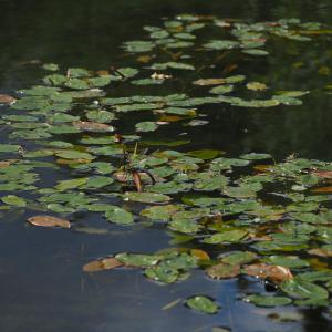 P8050098