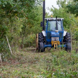 clearing for the cattle fence