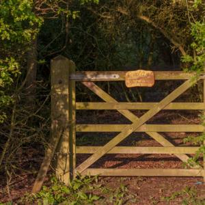 entrance to orchid glade2