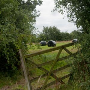 haylage bales3