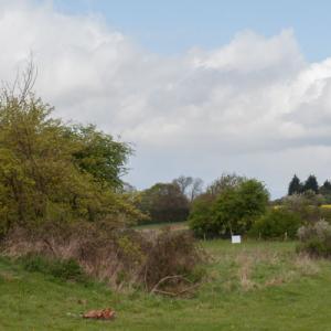 may open day 2013
