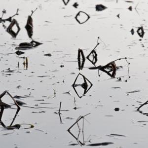 reflections1