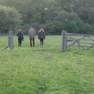 sinfield trust species rich meadow